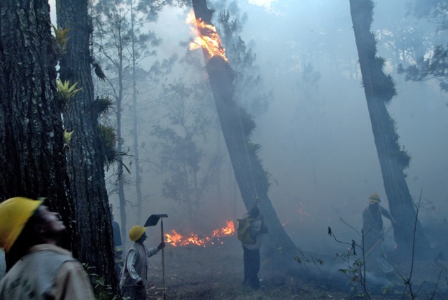 Violentos incendios forestales en el sur de Europa