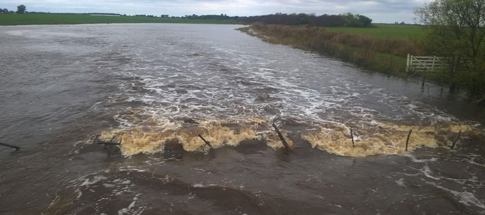 Argentina: inundaciones ponen en riesgo a un cuarto de producción agropecuaria