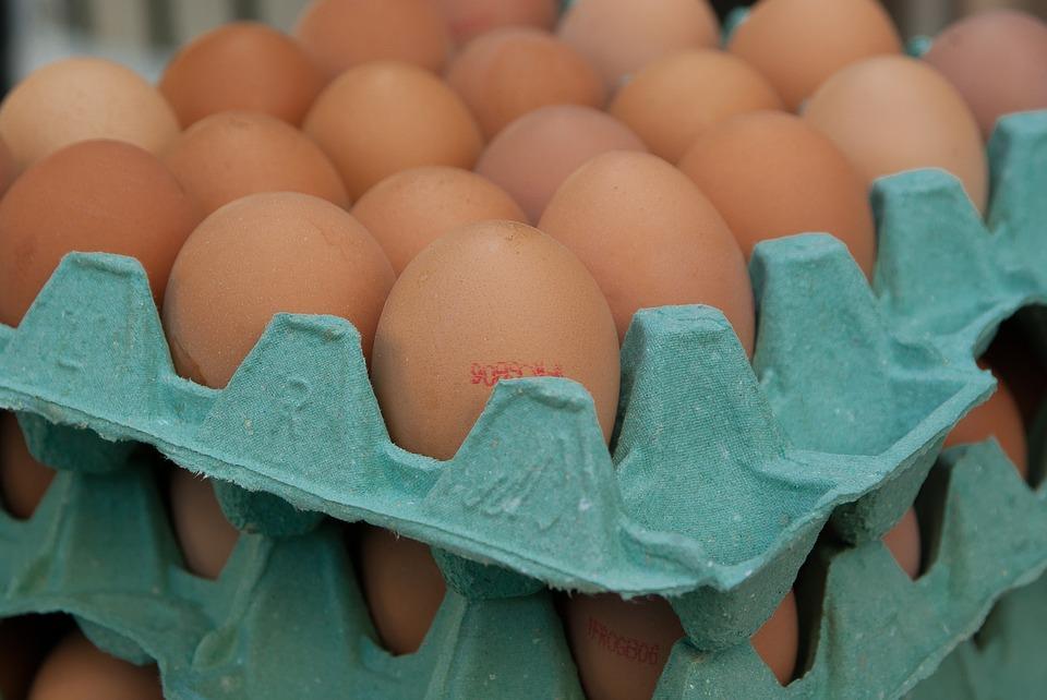 Francia no fue alertada sobre otro insecticida en crisis de huevos contaminados