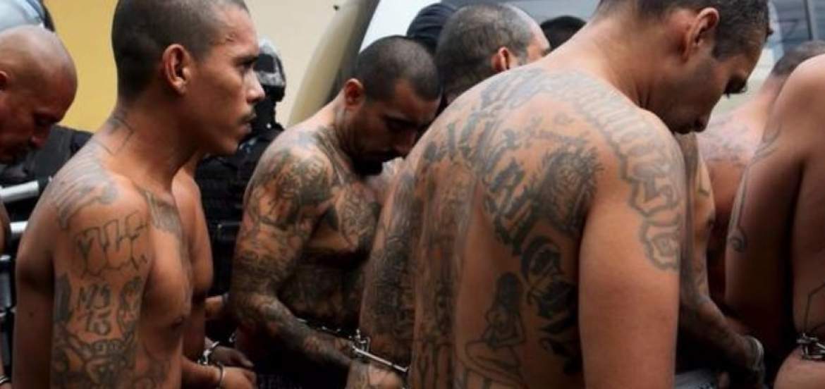 Catorce cabecillas de pandilla Mara Salvatrucha detenidos en Honduras
