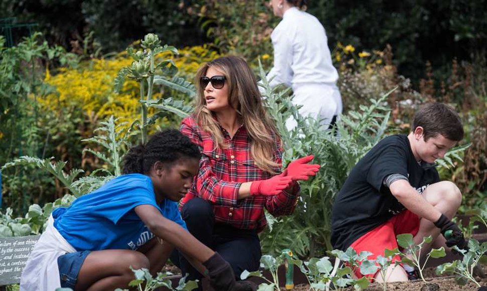 Melania Trump cultiva la huerta de la Casa Blanca, creada por Michelle Obama
