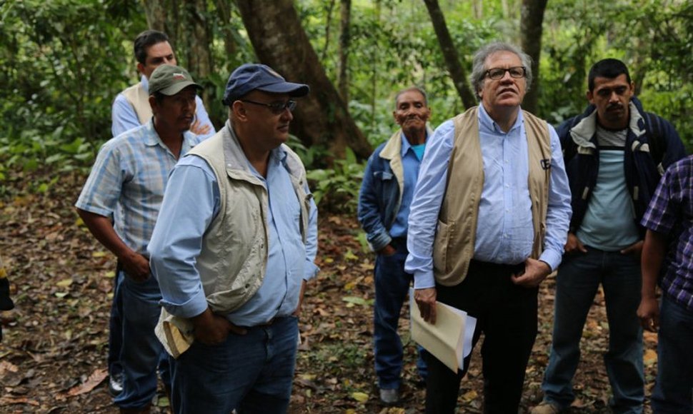 OEA inicia la próxima semana observación de elecciones en Nicaragua