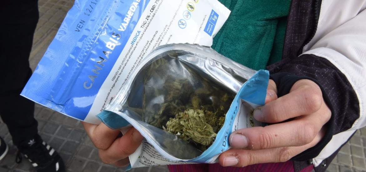 Uruguay creará alternativa a farmacias para venta de marihuana legal