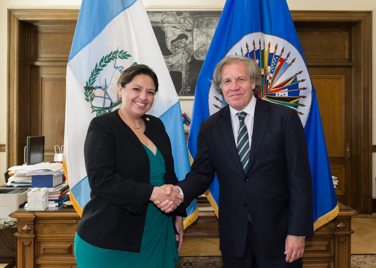 Canciller guatemalteca habla de “fortalecimiento de la democracia” con secretario de OEA