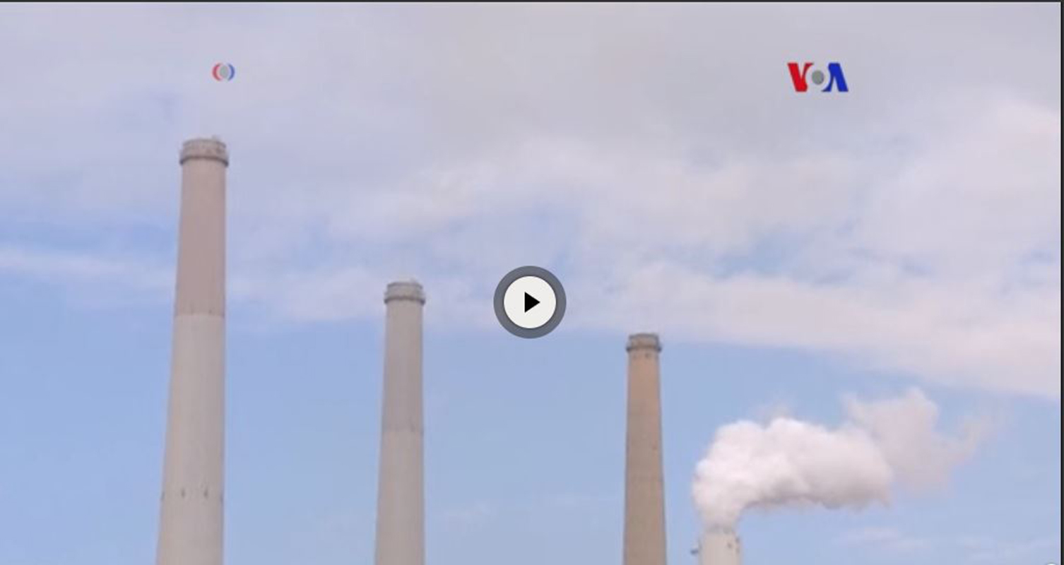 VIDEO: Combustible de estiércol de pollo