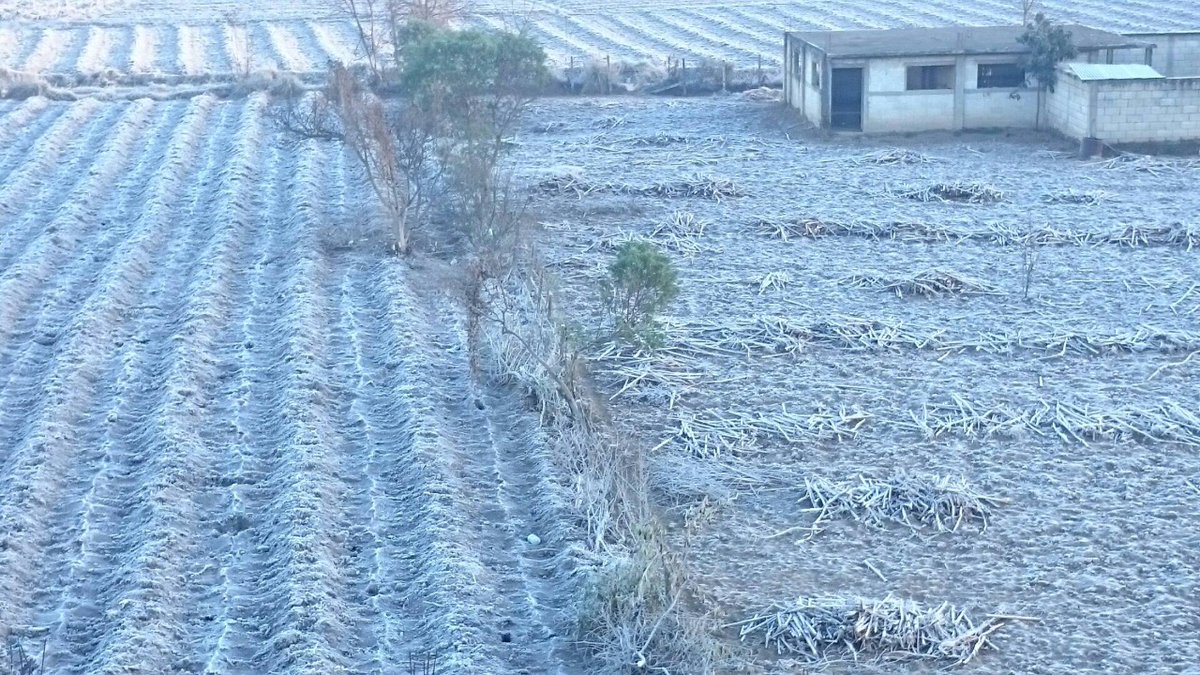 Clima y cultivos EU Emisoras unidas Guatemala