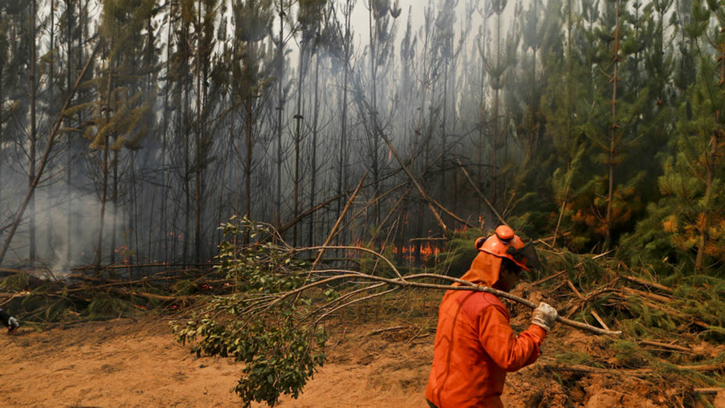 Avance de incendios forestales mantiene en vilo al sur de Chile