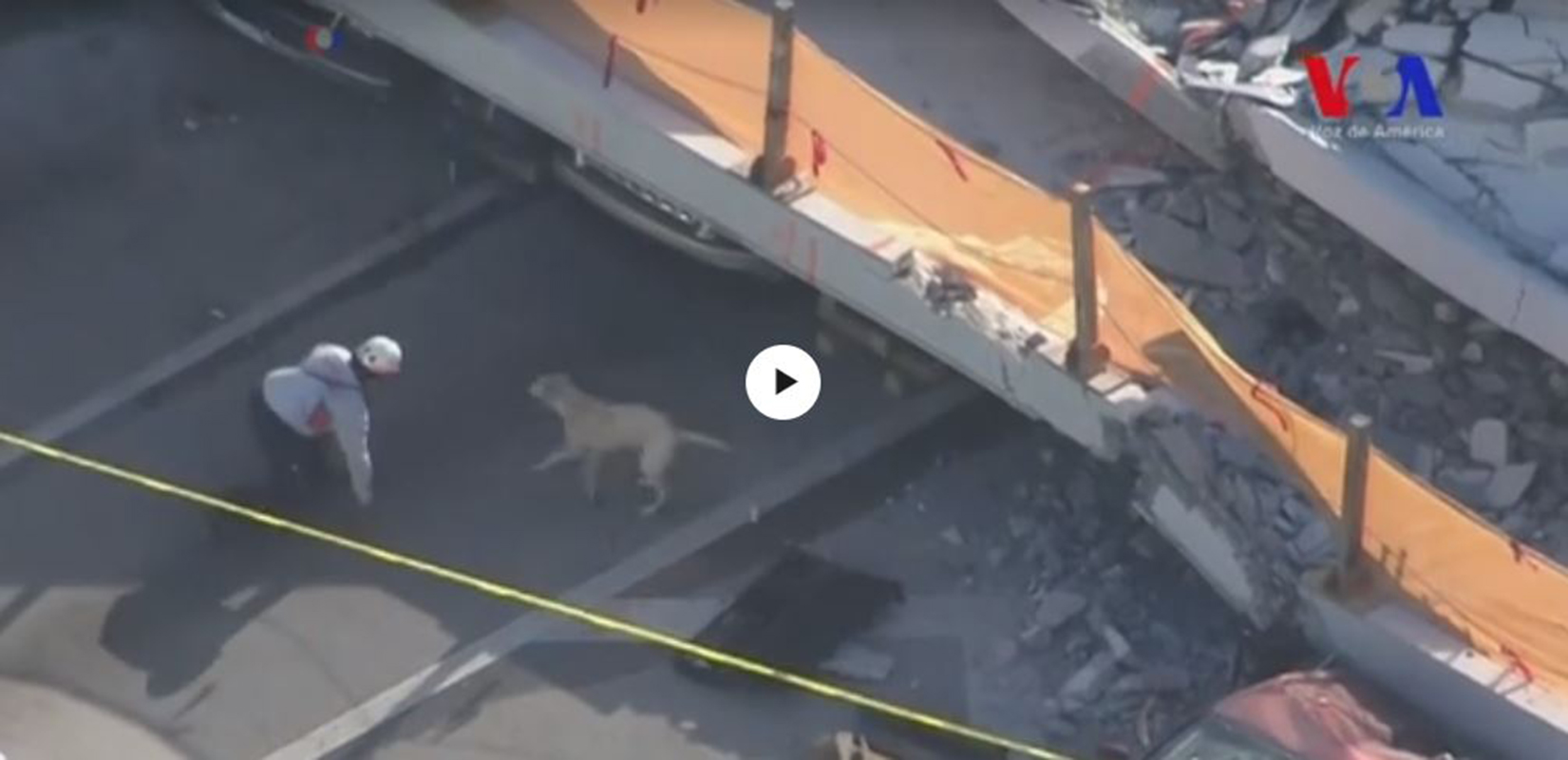 Aparatos de escucha y perros buscan sobrevivientes bajo puente colapsado