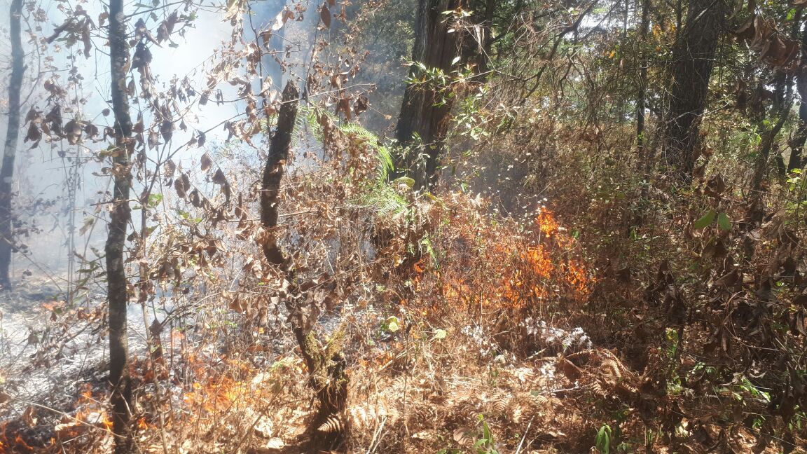 Incendios forestales EU Emisoras Unidas Guatemala