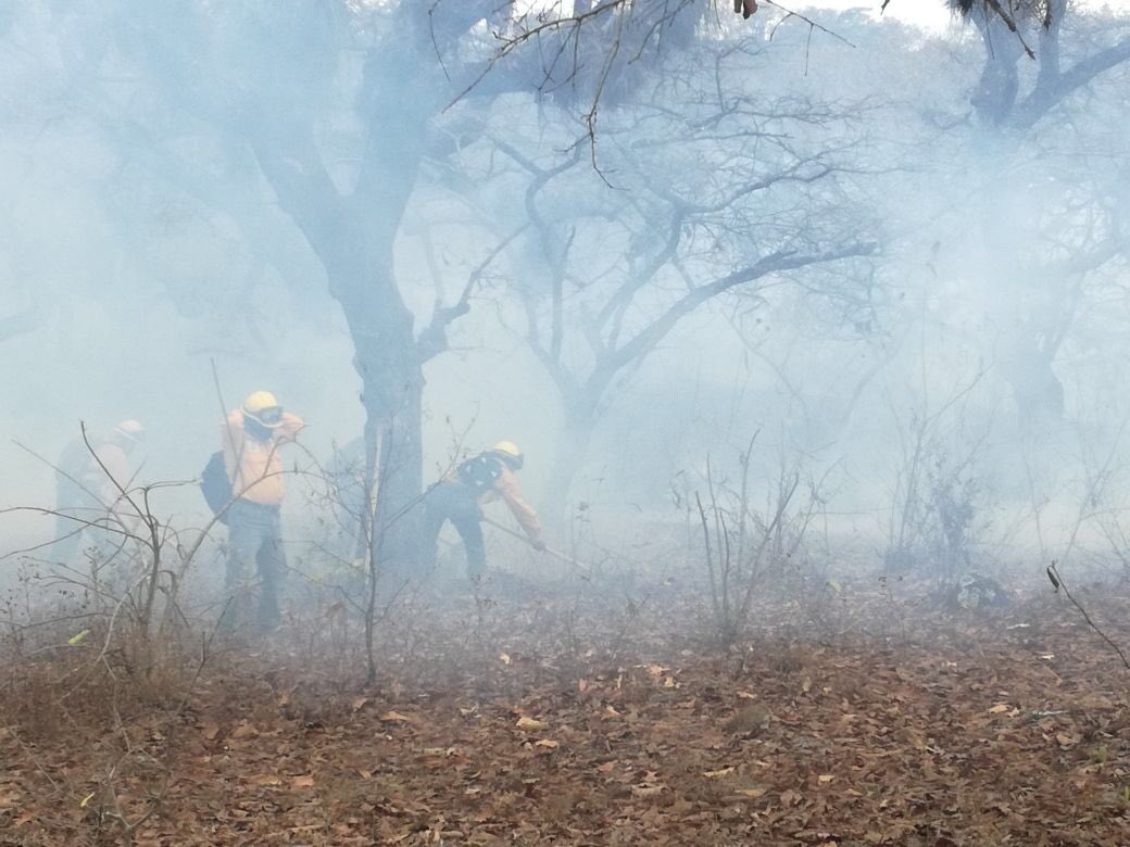 Incendios forestales en áreas protegidas. EU Emisoras Unidas Guatemala