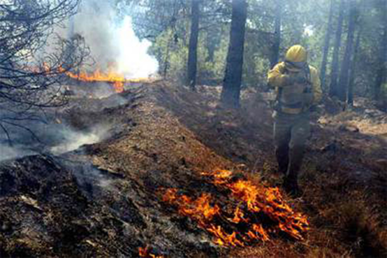 Bomberos controlan incendio forestal