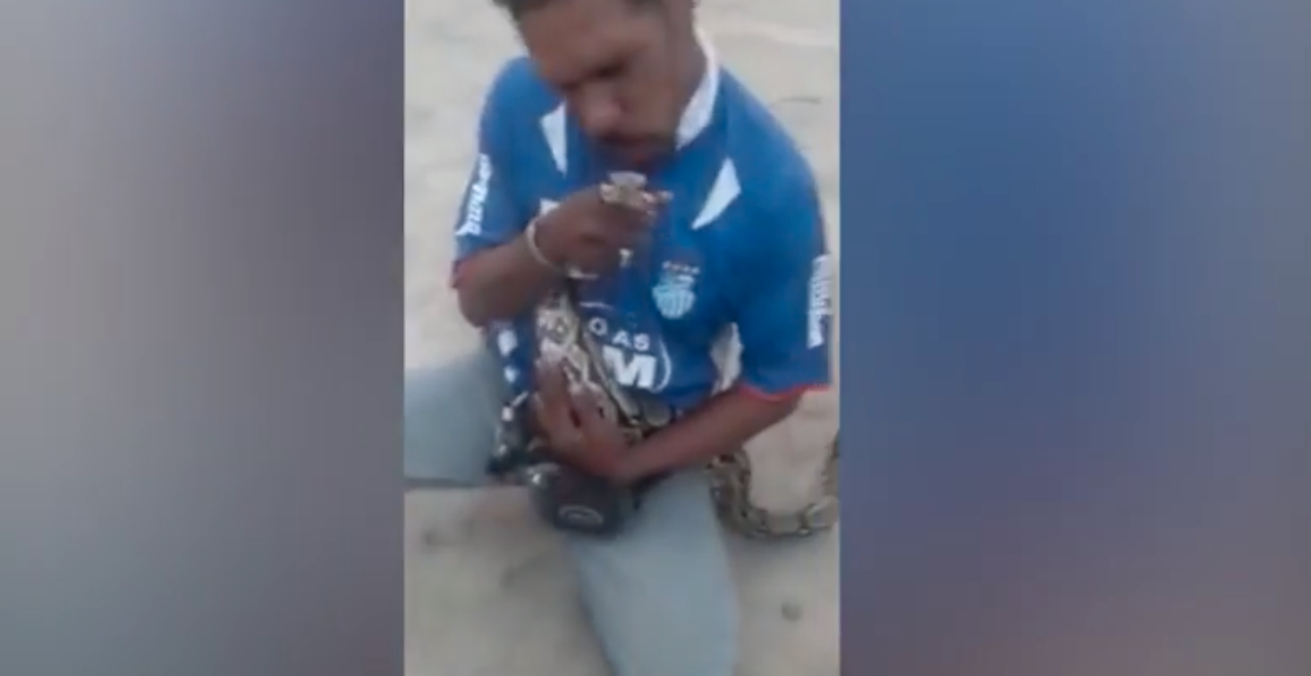 Video Viral serpiente