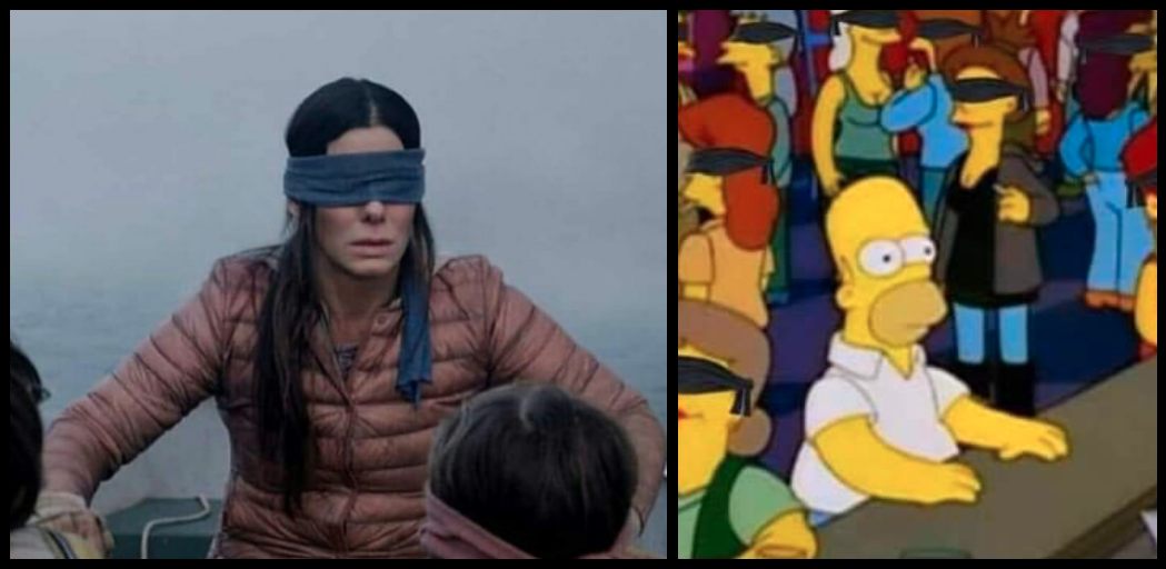 bird box mems