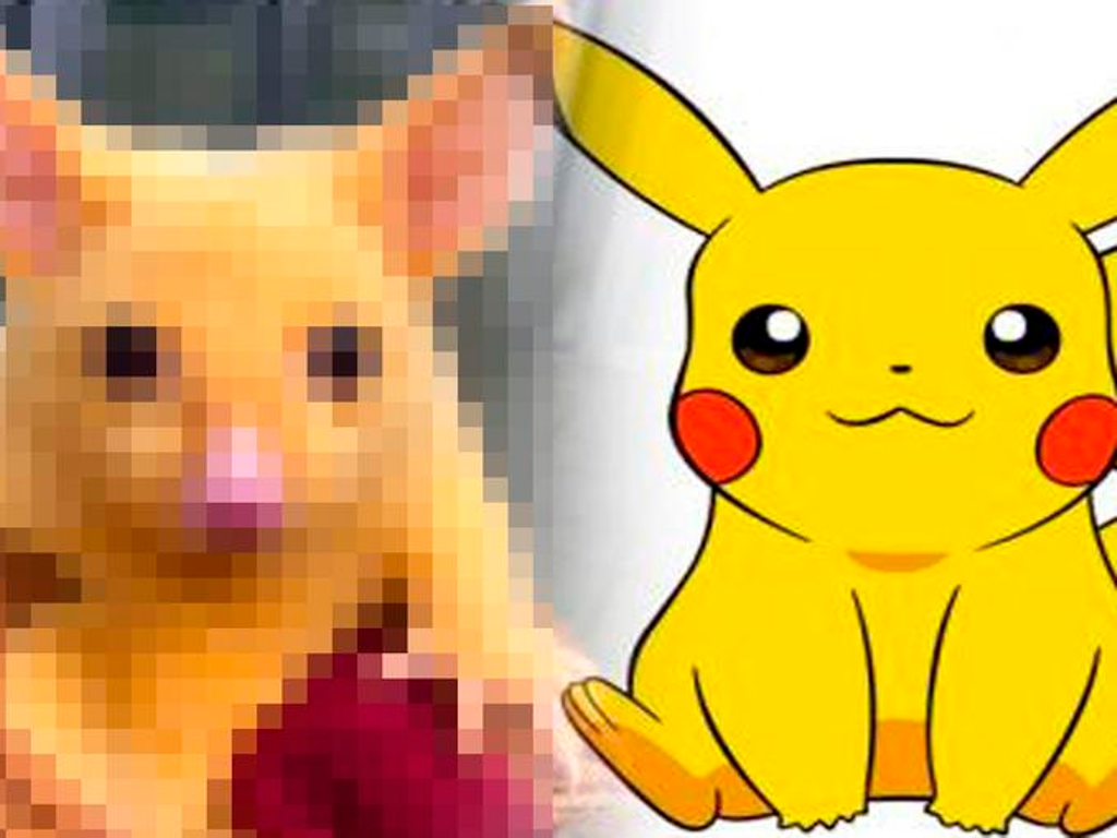 Pikachu Pokémon vida real viral