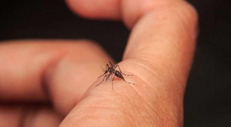 Dengue sigue al alza en Paraguay