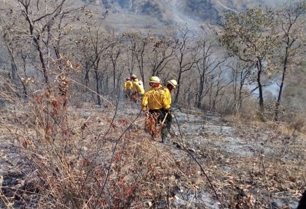 conred-ultimas-horas-incendios-forestales