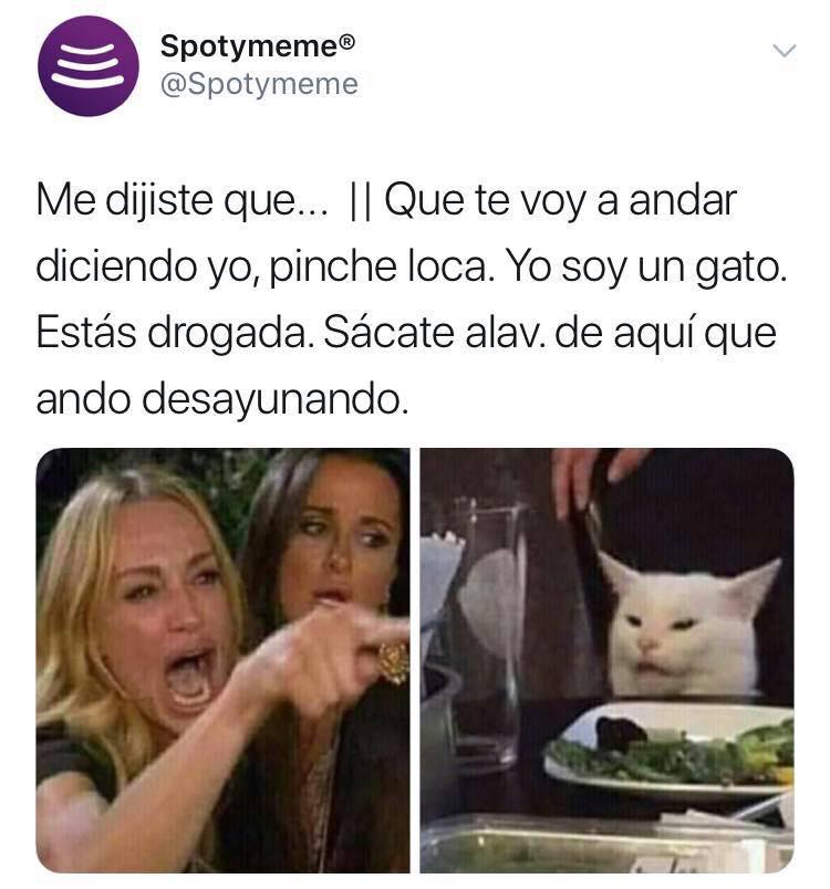 Memes del gato en la mesa y la mujer gritando