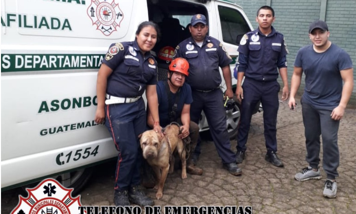 Bomberos rescata a perro atrapado en un pozo de Sacatepéquez