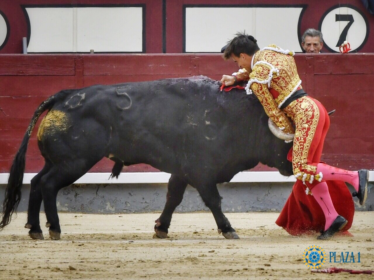 Torero se preparaba a ejecutar a toro y recibe cornada mortal de toro