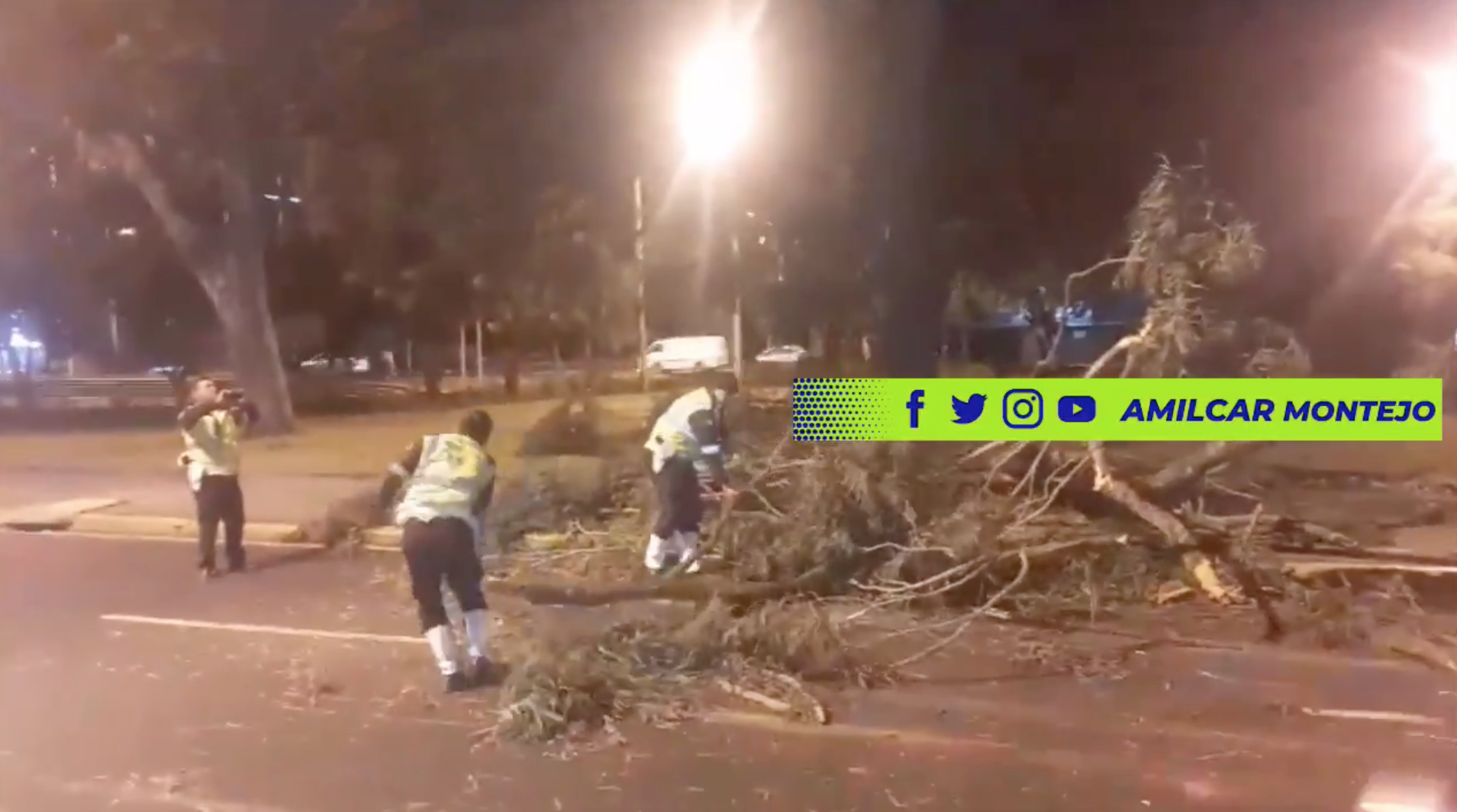 Árbol cae sobre la avenida las Américas y complica el tránsito