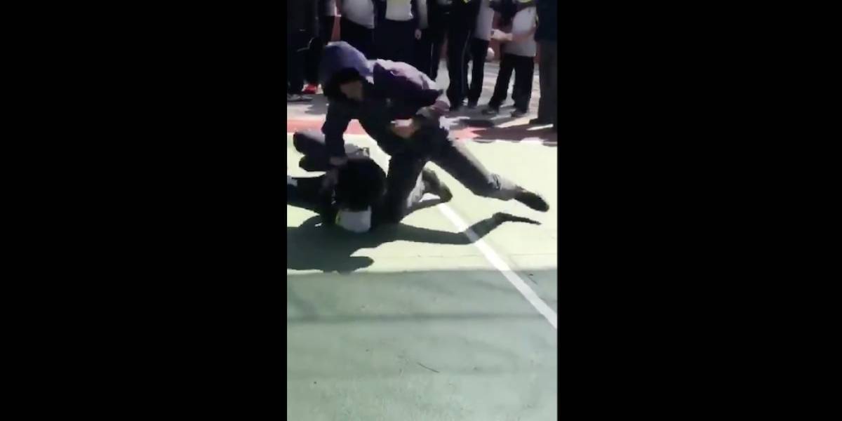 VIDEO: indignación por pelea dentro de un colegio