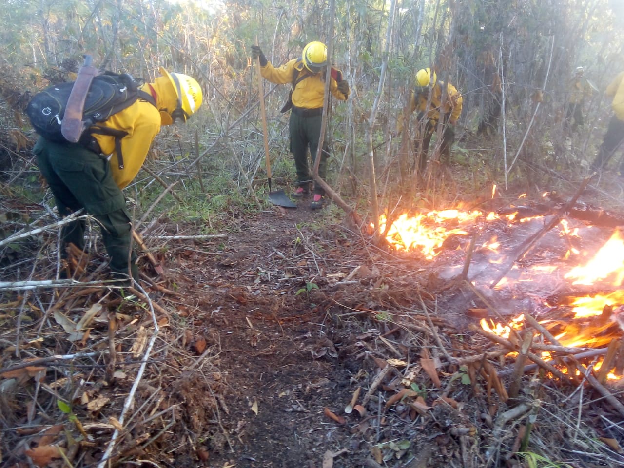 Incendios arrasan más de 1,330 hectáreas de bosque en Guatemala