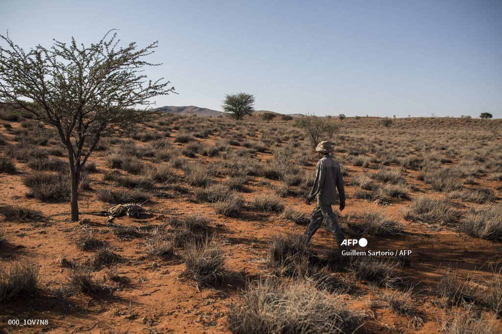 Sequía en África