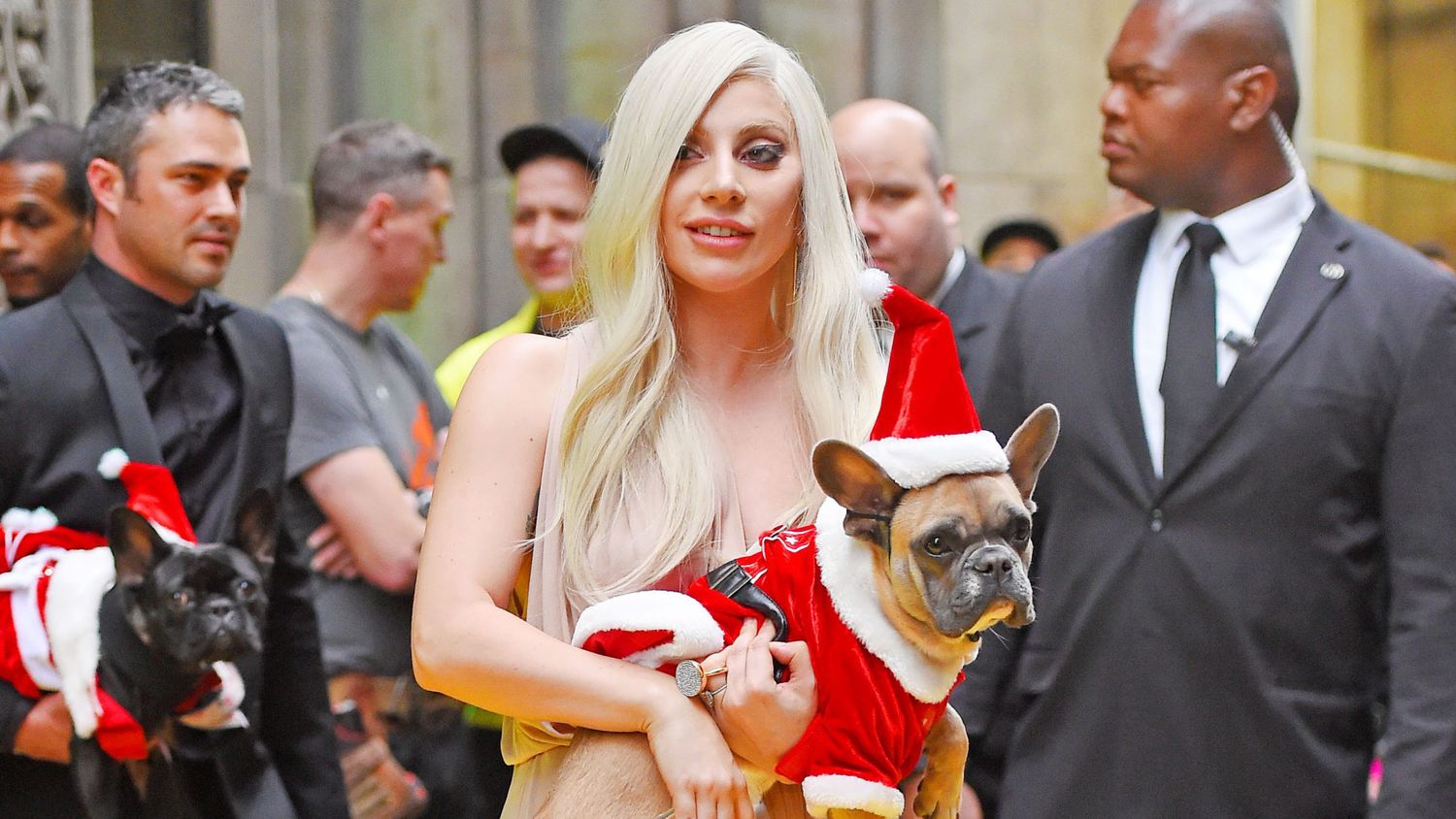 Lady Gaga Perros