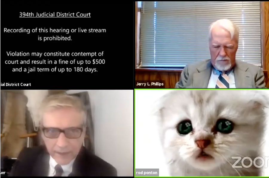 Rob Ponton, abogado que se hace viral por filtro de gato