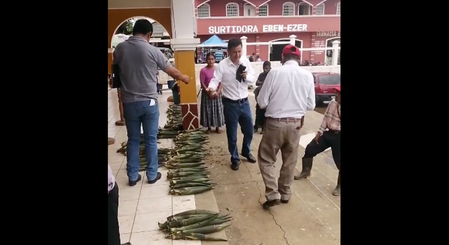Recaudan dinero en la Municipalidad de Chisec para ayudar a detenidos por extraer pacayas