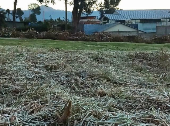 Reportan primera helada de la temporada en el occidente del país