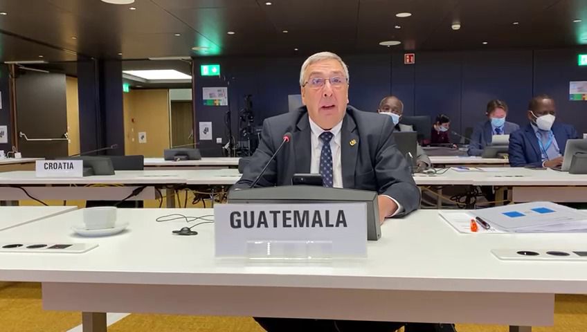 ministro de Salud, Francisco Coma, en asamblea de la OMS