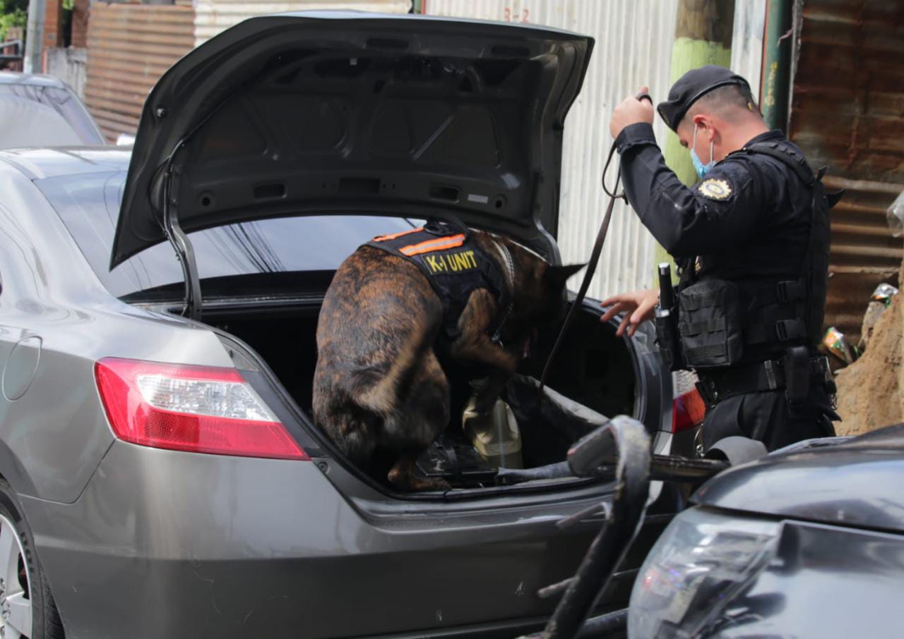 Un perro de la unidad antinarcótica K-9 (tomado del inglés cannine) fue utilizado para revisar el interior del automóvil.