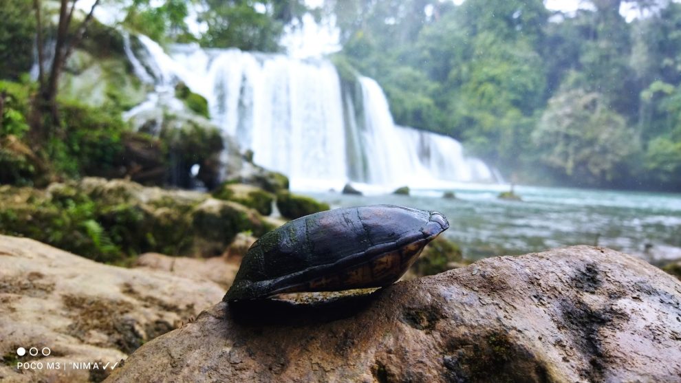 Parque Natural Las Conchas El Gigante De Las Verapaces