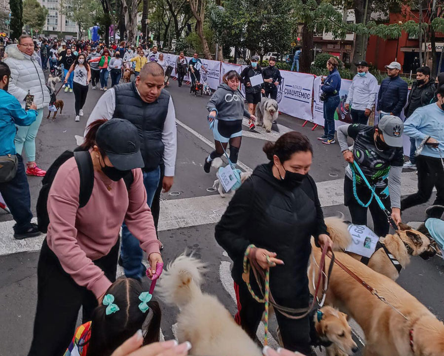 "Perritos en fuga", carrera canina en Ciudad de México