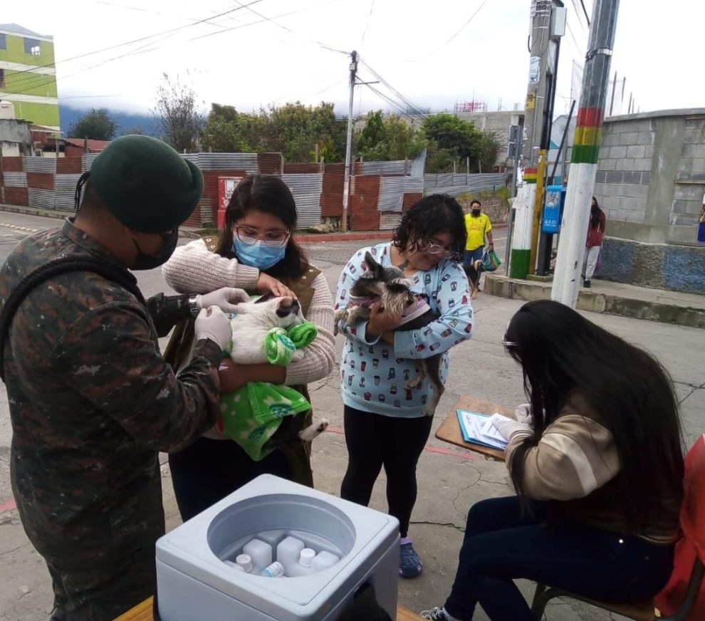 Administran dosis de la vacuna antirrábica en Totonicapán. / Foto: Ejército