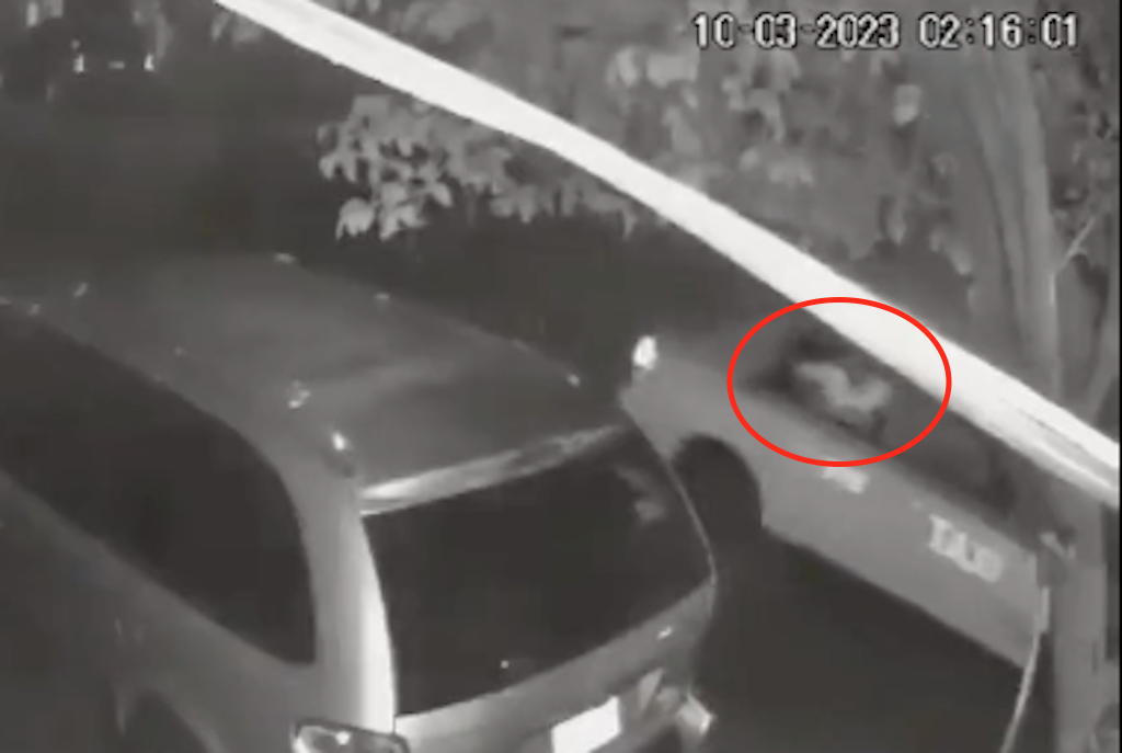 VIDEO. Taxi lleva a mujer con medio cuerpo de fuera y pidiendo ayuda
