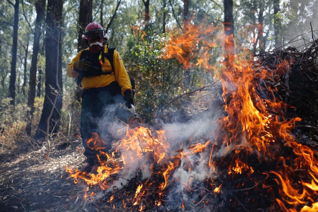 incendios forestales en Petén