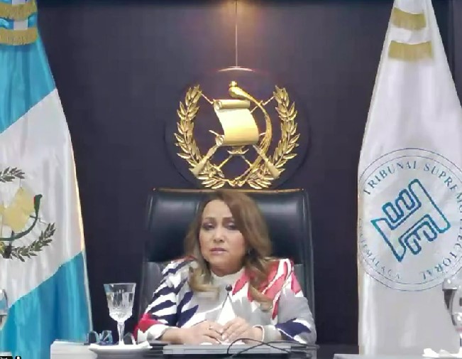 presidenta del TSE, Irma Palencia, en sesión de la OEA