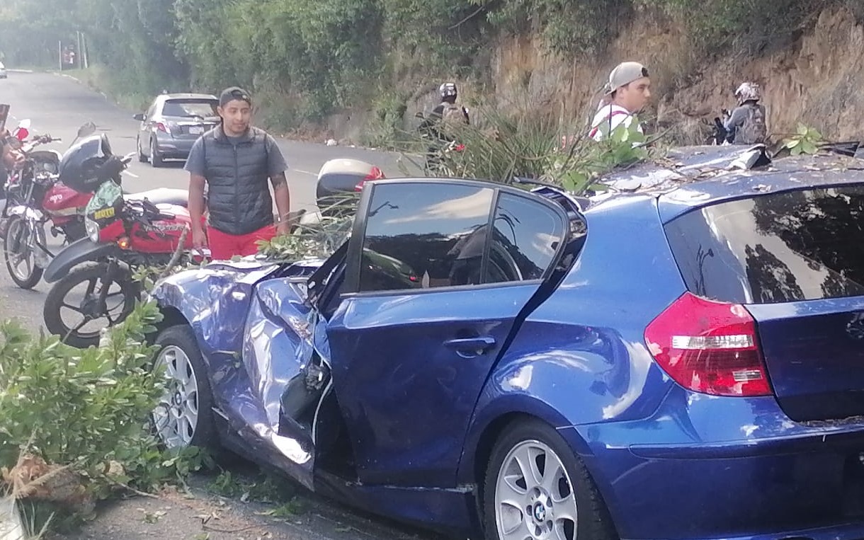 árbol cae sobre vehículo en bulevar El Naranjo