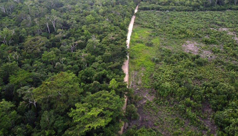 Reserva de la Biosfera Maya en Guatemala