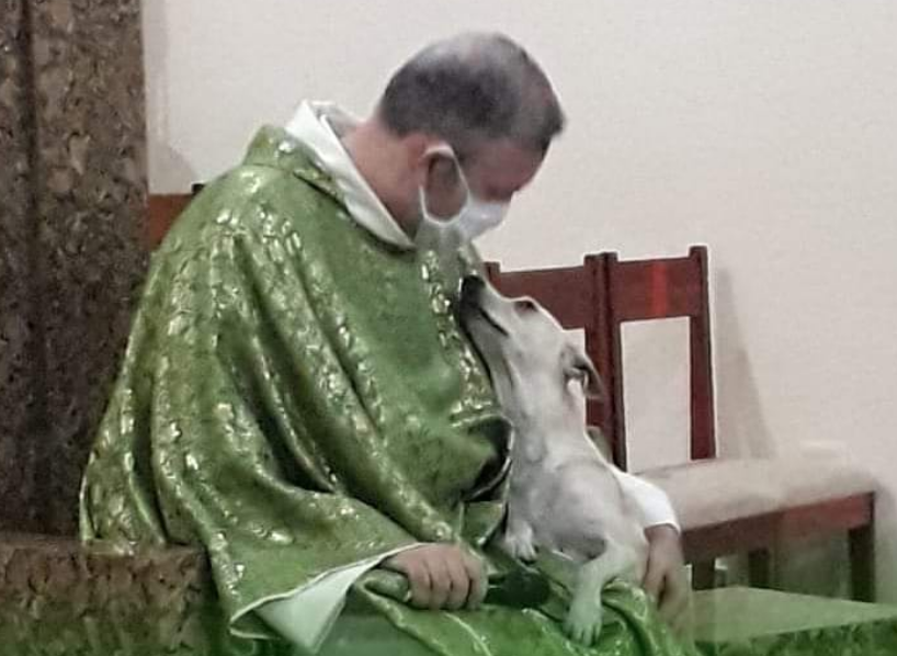 Sacerdote João Paulo Araujo Gomes aprovecha misas para buscarle hogar a perritos de la calle