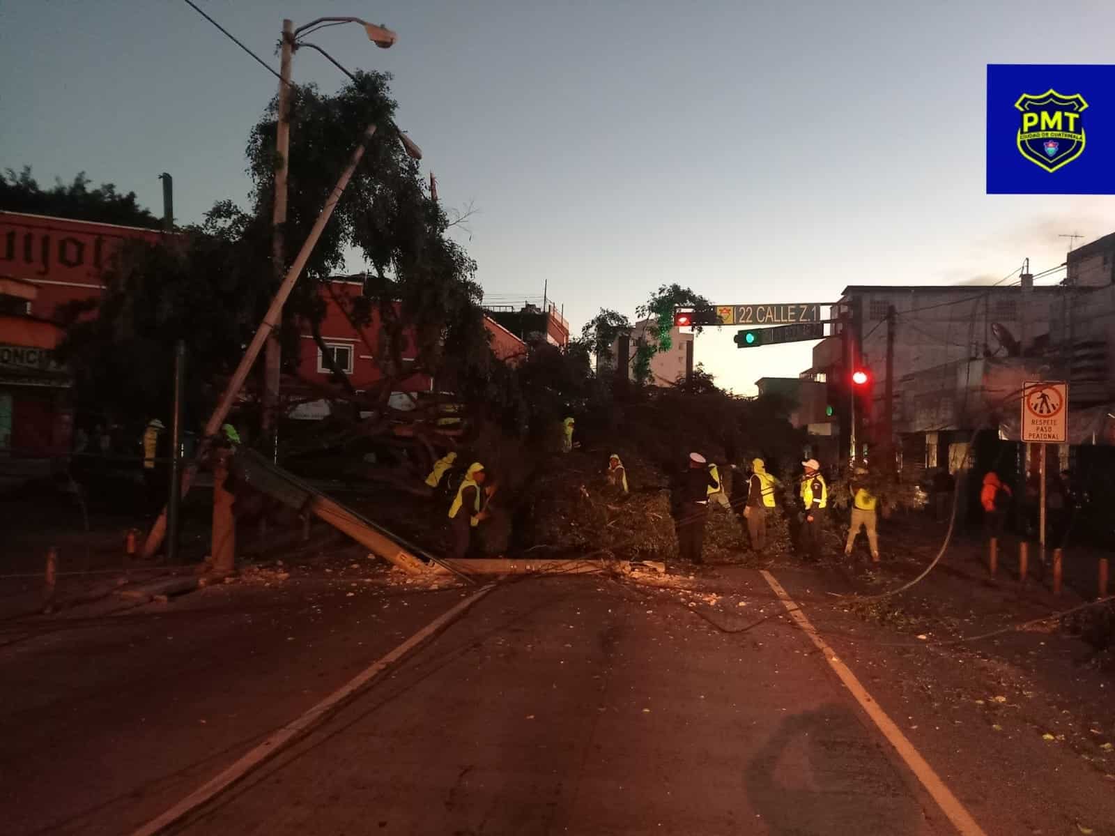 árbol cae sobre vehículos en zona 1