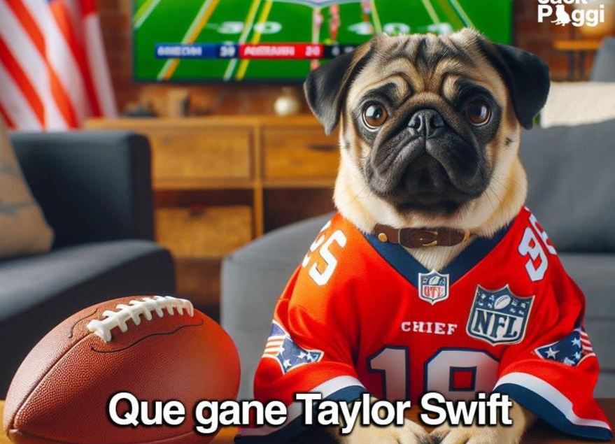 Memes Super Bowl