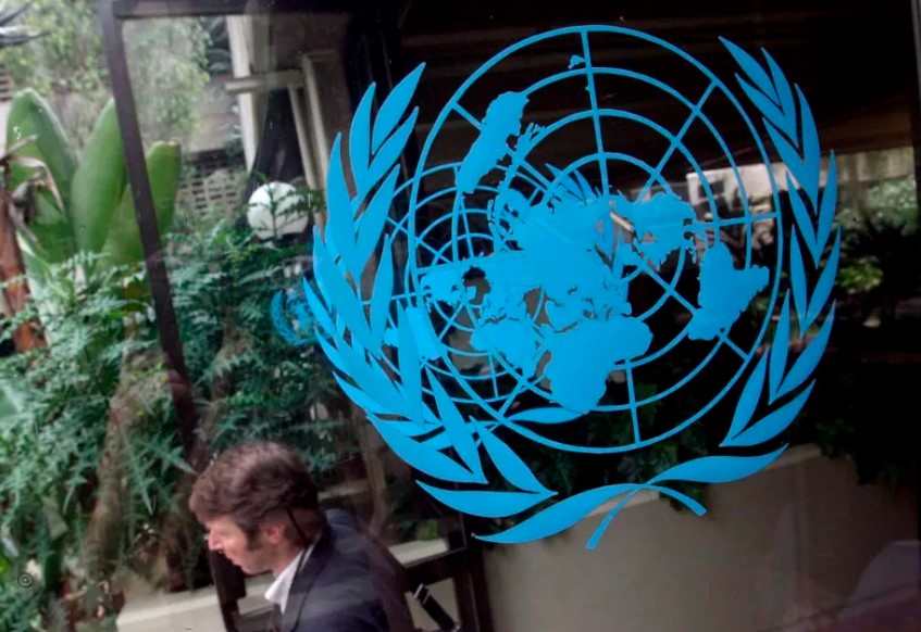 Organizaciones de las Naciones Unidas - ONU