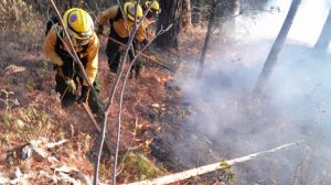 incendio forestal en Santa Rosa