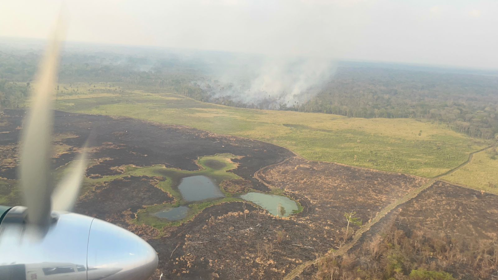 incendio forestal en Parque Nacional Laguna del Tigre