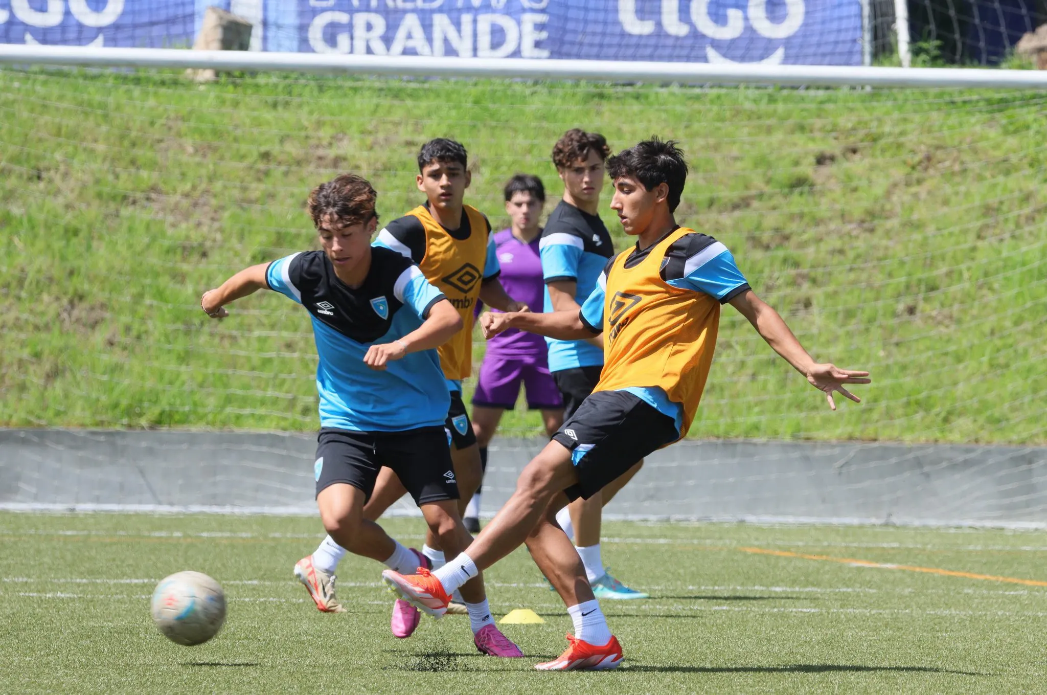 Selección de Guatemala en el Premundial Sub-20