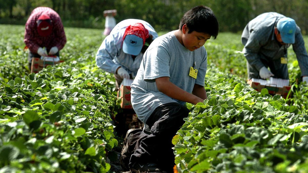 trabajo infantil