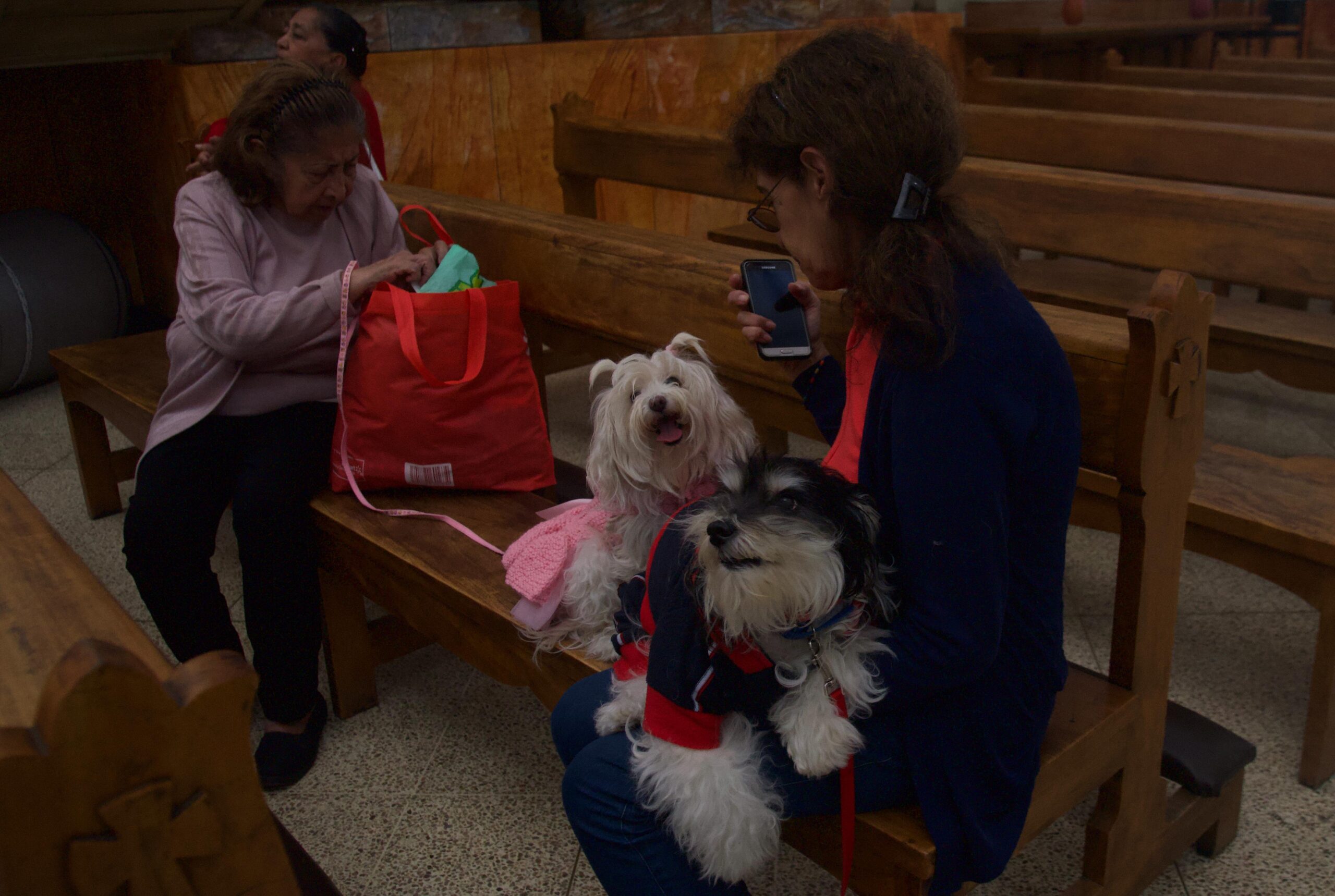 Bendicen a mascotas en el Día de San Francisco de Asís